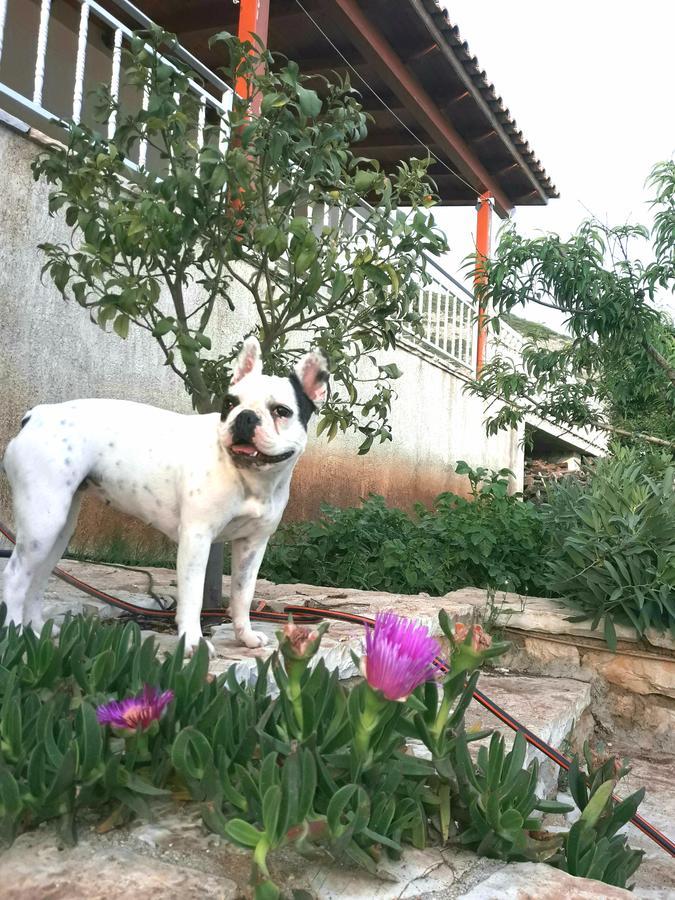 Sunset Villas เคพาโร ภายนอก รูปภาพ
